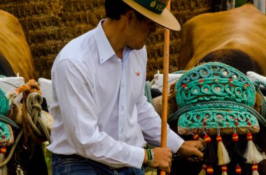 Almayate, İspanya - 21 Nisan 2018 sürücü öküz arabası, carters ile öküz, profesyonel çalışma ile yeteneği sunumunu dayalı geleneksel Endülüs Yarışması olay