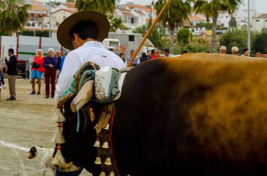 Almayate, İspanya - 21 Nisan 2018 sürücü öküz arabası, carters ile öküz, profesyonel çalışma ile yeteneği sunumunu dayalı geleneksel Endülüs Yarışması olay