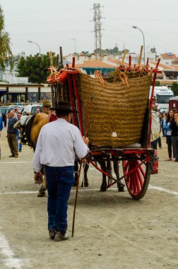 Almayate, İspanya - 21 Nisan 2018 sürücü öküz arabası, carters ile öküz, profesyonel çalışma ile yeteneği sunumunu dayalı geleneksel Endülüs Yarışması olay