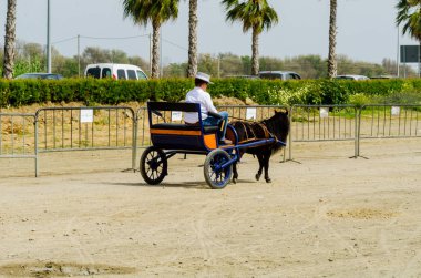 Almayate, İspanya - 22 Nisan 2018 sürücü at arabası, atları ile carters profesyonel çalışma ile yeteneği sunumunu dayalı geleneksel Endülüs Yarışması