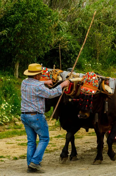 Almayate España Abril 2018 Concurso Tradicional Andaluz Basado Presentación Capacidad —  Fotos de Stock