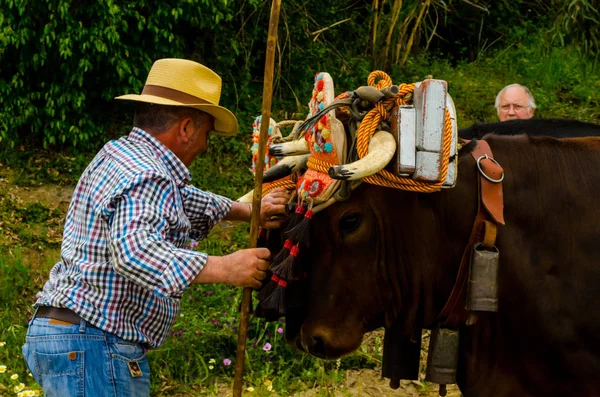 Almayate Espanha Abril 2018 Concurso Andaluz Tradicional Baseado Apresentação Capacidade — Fotografia de Stock