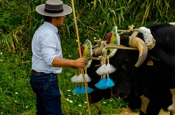 Almayate Spain April 2018 Traditional Andalusian Contest Based Presentation Ability — Stock Photo, Image