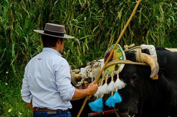 Almayate Spain April 2018 Traditional Andalusian Contest Based Presentation Ability — Stock Photo, Image