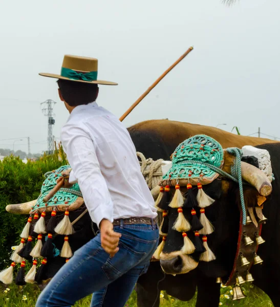 Almayate Spanien April 2018 Traditionell Andalusisk Tävling Baserad Presentationen Förmågan — Stockfoto