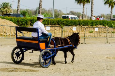 Almayate, İspanya - 22 Nisan 2018 sürücü at arabası, atları ile carters profesyonel çalışma ile yeteneği sunumunu dayalı geleneksel Endülüs Yarışması