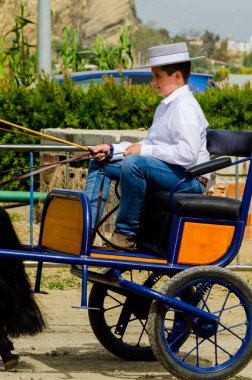 Almayate, İspanya - 22 Nisan 2018 sürücü at arabası, atları ile carters profesyonel çalışma ile yeteneği sunumunu dayalı geleneksel Endülüs Yarışması