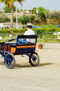 Almayate, İspanya - 22 Nisan 2018 sürücü at arabası, atları ile carters profesyonel çalışma ile yeteneği sunumunu dayalı geleneksel Endülüs Yarışması