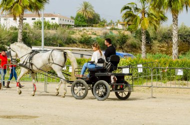 Almayate, İspanya - 22 Nisan 2018 sürücü at arabası, atları ile carters profesyonel çalışma ile yeteneği sunumunu dayalı geleneksel Endülüs Yarışması