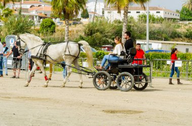 Almayate, İspanya - 22 Nisan 2018 sürücü at arabası, atları ile carters profesyonel çalışma ile yeteneği sunumunu dayalı geleneksel Endülüs Yarışması