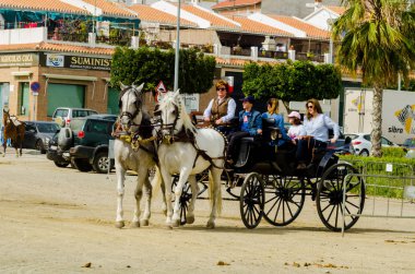 Almayate, İspanya - 22 Nisan 2018 sürücü at arabası, atları ile carters profesyonel çalışma ile yeteneği sunumunu dayalı geleneksel Endülüs Yarışması