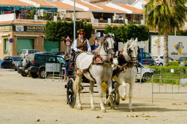 Almayate, İspanya - 22 Nisan 2018 sürücü at arabası, atları ile carters profesyonel çalışma ile yeteneği sunumunu dayalı geleneksel Endülüs Yarışması