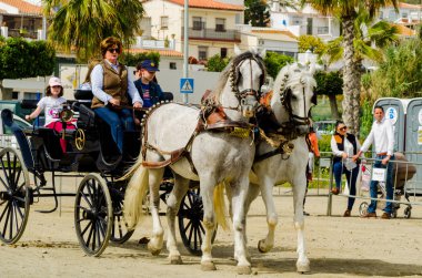 Almayate, İspanya - 22 Nisan 2018 sürücü at arabası, atları ile carters profesyonel çalışma ile yeteneği sunumunu dayalı geleneksel Endülüs Yarışması