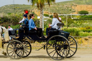 Almayate, İspanya - 22 Nisan 2018 sürücü at arabası, atları ile carters profesyonel çalışma ile yeteneği sunumunu dayalı geleneksel Endülüs Yarışması