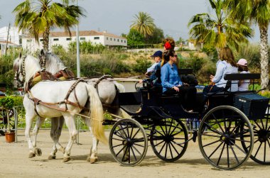 Almayate, İspanya - 22 Nisan 2018 sürücü at arabası, atları ile carters profesyonel çalışma ile yeteneği sunumunu dayalı geleneksel Endülüs Yarışması