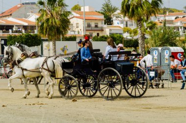 Almayate, İspanya - 22 Nisan 2018 sürücü at arabası, atları ile carters profesyonel çalışma ile yeteneği sunumunu dayalı geleneksel Endülüs Yarışması