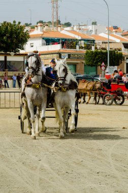 Almayate, İspanya - 22 Nisan 2018 sürücü at arabası, atları ile carters profesyonel çalışma ile yeteneği sunumunu dayalı geleneksel Endülüs Yarışması