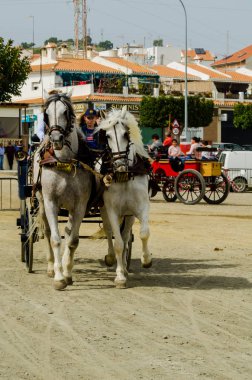 Almayate, İspanya - 22 Nisan 2018 sürücü at arabası, atları ile carters profesyonel çalışma ile yeteneği sunumunu dayalı geleneksel Endülüs Yarışması