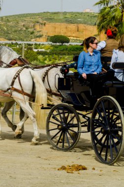 Almayate, İspanya - 22 Nisan 2018 sürücü at arabası, atları ile carters profesyonel çalışma ile yeteneği sunumunu dayalı geleneksel Endülüs Yarışması