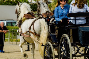 Almayate, İspanya - 22 Nisan 2018 sürücü at arabası, atları ile carters profesyonel çalışma ile yeteneği sunumunu dayalı geleneksel Endülüs Yarışması