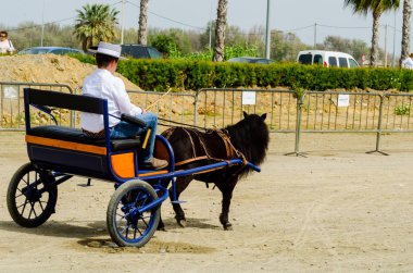 Almayate, İspanya - 22 Nisan 2018 sürücü at arabası, atları ile carters profesyonel çalışma ile yeteneği sunumunu dayalı geleneksel Endülüs Yarışması