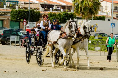 Almayate, İspanya - 22 Nisan 2018 sürücü at arabası, atları ile carters profesyonel çalışma ile yeteneği sunumunu dayalı geleneksel Endülüs Yarışması
