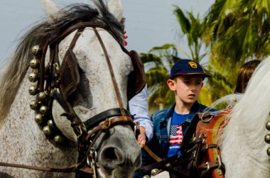 Almayate, İspanya - 22 Nisan 2018 sürücü at arabası, atları ile carters profesyonel çalışma ile yeteneği sunumunu dayalı geleneksel Endülüs Yarışması