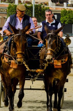 Almayate, İspanya - 22 Nisan 2018 sürücü at arabası, atları ile carters profesyonel çalışma ile yeteneği sunumunu dayalı geleneksel Endülüs Yarışması