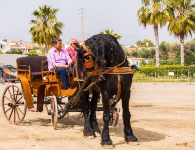 Almayate, İspanya - 22 Nisan 2018 sürücü at arabası, atları ile carters profesyonel çalışma ile yeteneği sunumunu dayalı geleneksel Endülüs Yarışması