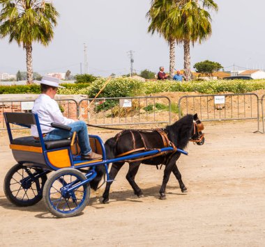 Almayate, İspanya - 22 Nisan 2018 sürücü at arabası, atları ile carters profesyonel çalışma ile yeteneği sunumunu dayalı geleneksel Endülüs Yarışması