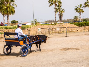Almayate, İspanya - 22 Nisan 2018 sürücü at arabası, atları ile carters profesyonel çalışma ile yeteneği sunumunu dayalı geleneksel Endülüs Yarışması