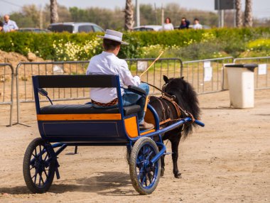 Almayate, İspanya - 22 Nisan 2018 sürücü at arabası, atları ile carters profesyonel çalışma ile yeteneği sunumunu dayalı geleneksel Endülüs Yarışması