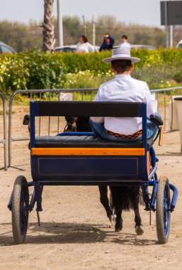 Almayate, İspanya - 22 Nisan 2018 sürücü at arabası, atları ile carters profesyonel çalışma ile yeteneği sunumunu dayalı geleneksel Endülüs Yarışması