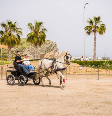 Almayate, İspanya - 22 Nisan 2018 sürücü at arabası, atları ile carters profesyonel çalışma ile yeteneği sunumunu dayalı geleneksel Endülüs Yarışması