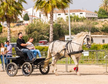 Almayate, İspanya - 22 Nisan 2018 sürücü at arabası, atları ile carters profesyonel çalışma ile yeteneği sunumunu dayalı geleneksel Endülüs Yarışması