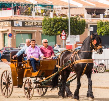 Almayate, İspanya - 22 Nisan 2018 sürücü at arabası, atları ile carters profesyonel çalışma ile yeteneği sunumunu dayalı geleneksel Endülüs Yarışması