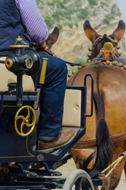 Almayate, İspanya - 22 Nisan 2018 sürücü at arabası, atları ile carters profesyonel çalışma ile yeteneği sunumunu dayalı geleneksel Endülüs Yarışması