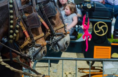 Almayate, İspanya - 22 Nisan 2018 sürücü at arabası, atları ile carters profesyonel çalışma ile yeteneği sunumunu dayalı geleneksel Endülüs Yarışması