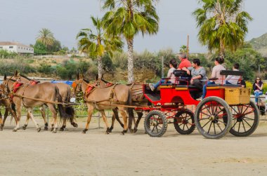 Almayate, İspanya - 22 Nisan 2018 sürücü at arabası, atları ile carters profesyonel çalışma ile yeteneği sunumunu dayalı geleneksel Endülüs Yarışması