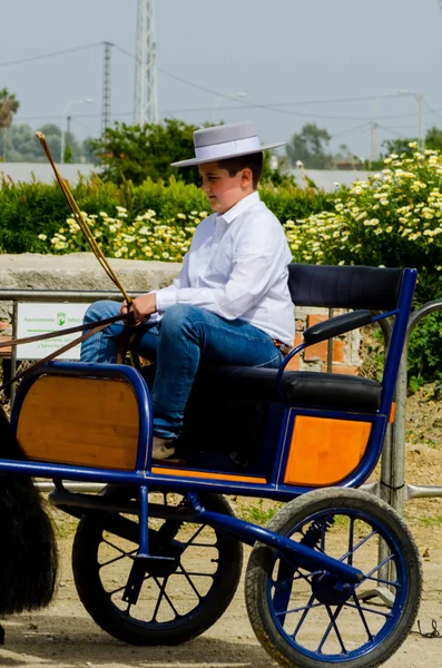 Almayate Spain April 2018 Traditional Andalusian Contest Based Presentation Ability — Stock Photo, Image