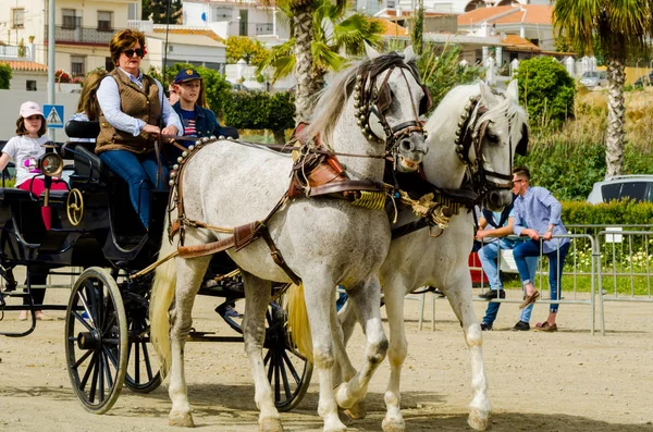 スペイン 2018 日カート 馬とカーターズのプロの仕事で車で馬に能力のプレゼンテーションに基づく伝統的なアンダルシア コンテスト — ストック写真