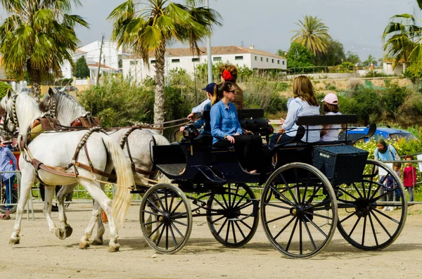 Almayate, İspanya - 22 Nisan 2018 sürücü at arabası, atları ile carters profesyonel çalışma ile yeteneği sunumunu dayalı geleneksel Endülüs Yarışması