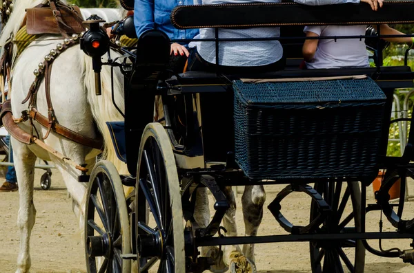 西班牙阿尔马约特 2018年4月22日传统安达卢西亚比赛的基础上展示了驾驶马车的能力 与马的卡车司机的专业工作 — 图库照片