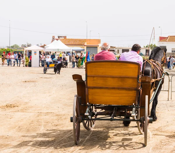 西班牙阿尔马约特 2018年4月22日传统安达卢西亚比赛的基础上展示了驾驶马车的能力 与马的卡车司机的专业工作 — 图库照片