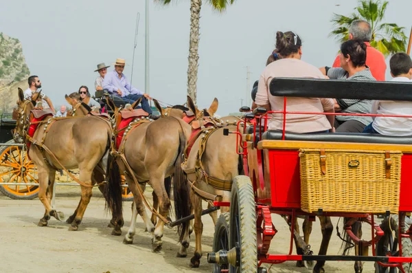 Almayate Spanien April 2018 Traditioneller Andalusischer Wettbewerb Basierend Auf Der — Stockfoto