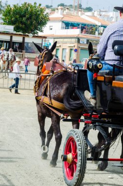 Almayate, İspanya - 22 Nisan 2018 dostum ile geleneksel bir Endülüs yarışmada bir araba sürüş at sürücü at arabası, atları ile carters profesyonel çalışma ile yeteneği sunumunu dayalı geleneksel İspanya Yarışması