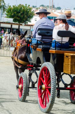 Almayate, İspanya - 22 Nisan 2018 dostum ile geleneksel bir Endülüs yarışmada bir araba sürüş at sürücü at arabası, atları ile carters profesyonel çalışma ile yeteneği sunumunu dayalı geleneksel İspanya Yarışması