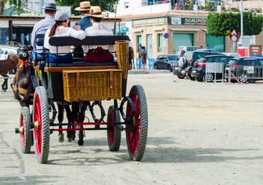 Almayate, İspanya - 22 Nisan 2018 dostum ile geleneksel bir Endülüs yarışmada bir araba sürüş at sürücü at arabası, atları ile carters profesyonel çalışma ile yeteneği sunumunu dayalı geleneksel İspanya Yarışması