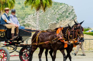 Almayate, İspanya - 22 Nisan 2018 dostum ile geleneksel bir Endülüs yarışmada bir araba sürüş at sürücü at arabası, atları ile carters profesyonel çalışma ile yeteneği sunumunu dayalı geleneksel İspanya Yarışması