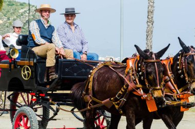 Almayate, İspanya - 22 Nisan 2018 dostum ile geleneksel bir Endülüs yarışmada bir araba sürüş at sürücü at arabası, atları ile carters profesyonel çalışma ile yeteneği sunumunu dayalı geleneksel İspanya Yarışması